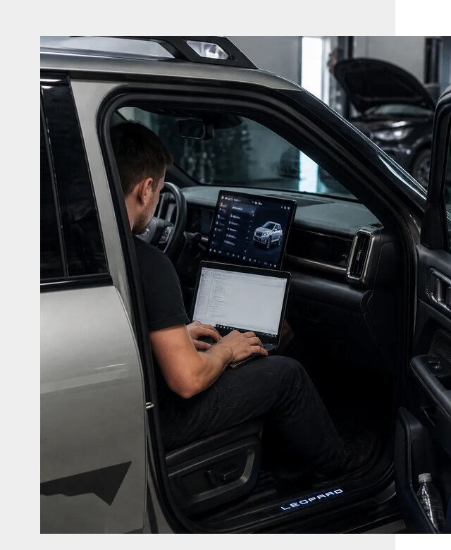 Русификация BYD Leopard 3 в Мытищах по цене от 20208 р. | ФастМобиль-Мтщ
